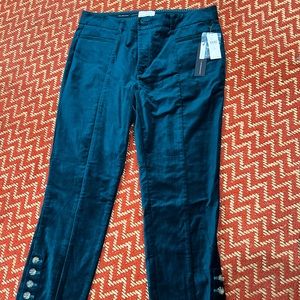 Anthropologie Essential Slim pant in beautiful velvet green